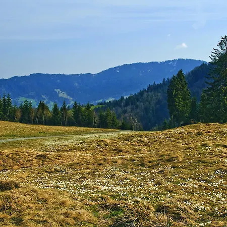 Hotel Motel Hohenems Hohenems