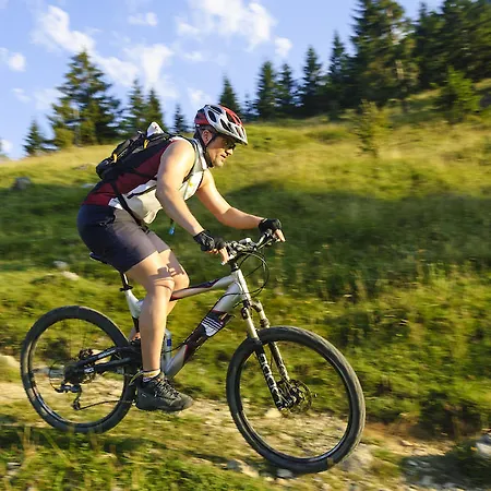 Hotel Motel Hohenems *