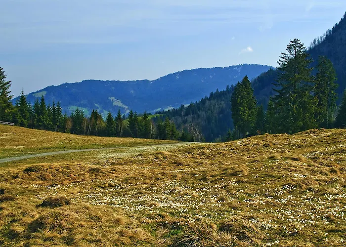 Hotell Motel Hohenems Hohenems